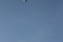 IMG_9464-Large
